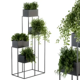 Indoor plant black stand